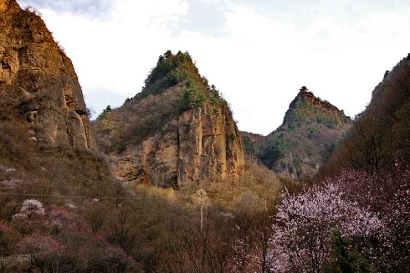 桃花坪