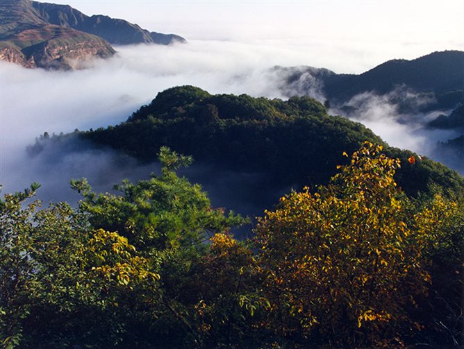 凤凰岭