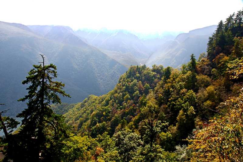 苍松岭