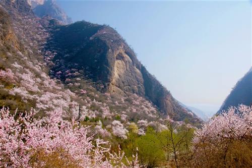 大象山