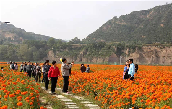 C:UsersAdministratorAppDataRoamingTencentUsers(3616462QQWinTempRichOleO]XTIMS}2WSOJ59Y6A45J.png