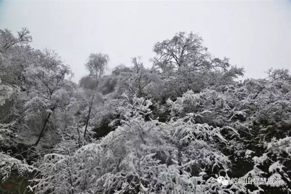 http://mmbiz.qpic.cn/mmbiz_jpg/ibzDjuazbiczSLJS3q6DJOkXtBK4GRUiaV2QQqNtvlmj8xEu21uN6UvohrGCvsoiboIibTjLL0NwCdCA7F2H1RQXGAQ/640?wx_fmt=jpeg&wxfrom=5&wx_lazy=1