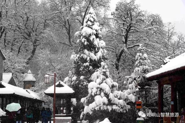 http://mmbiz.qpic.cn/mmbiz_jpg/ibzDjuazbiczS8oCS0YcN7bIic3uY7bhCF8Fds6JGygzReRgAibcGKpiaqayCI2KNLap3eKWh9GJY8Wd5SDtxomV5Qw/640?wx_fmt=jpeg&wxfrom=5&wx_lazy=1