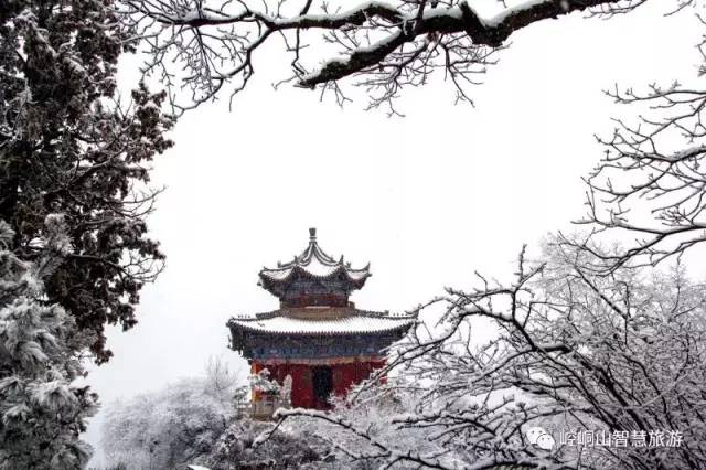 http://mmbiz.qpic.cn/mmbiz_jpg/ibzDjuazbiczS8oCS0YcN7bIic3uY7bhCF841iaOddTNCicnQdBNpgn3oVEq6A9neC4IEa2mJpsKHpI6oOldtEKDSmw/640?wx_fmt=jpeg&wxfrom=5&wx_lazy=1