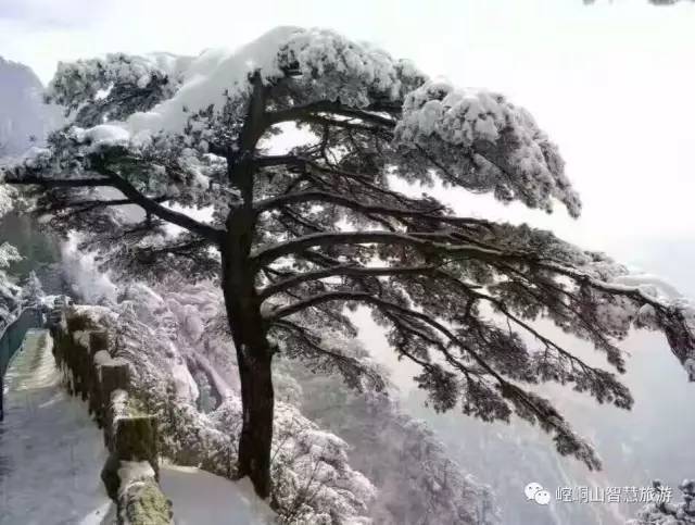 http://mmbiz.qpic.cn/mmbiz_jpg/ibzDjuazbiczS8oCS0YcN7bIic3uY7bhCF8XssfgW97iaNtG7kHkybBwxQex30icc12DCdaZ4v5hdFNHxeNicxIyqf8Q/640?wx_fmt=jpeg&wxfrom=5&wx_lazy=1