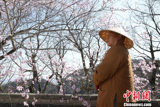 http://i2.chinanews.com/simg/2017/170415/65906810.jpg