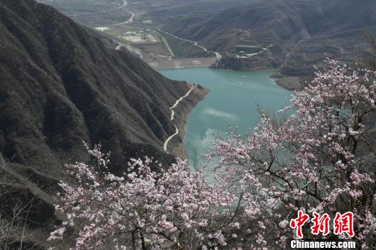 http://i2.chinanews.com/simg/2017/170415/65906820.jpg