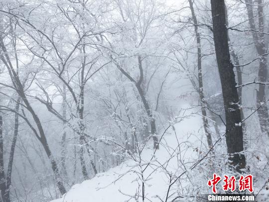 甘肃崆峒山春日雪景云雾飘渺似仙境
