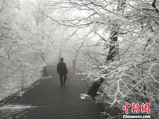 图为游人雪后游山。徐振华摄