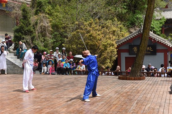 DSC_3293_副本