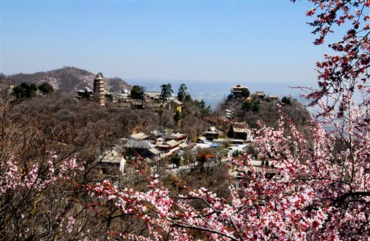 微信图片_20200302161520.jpg